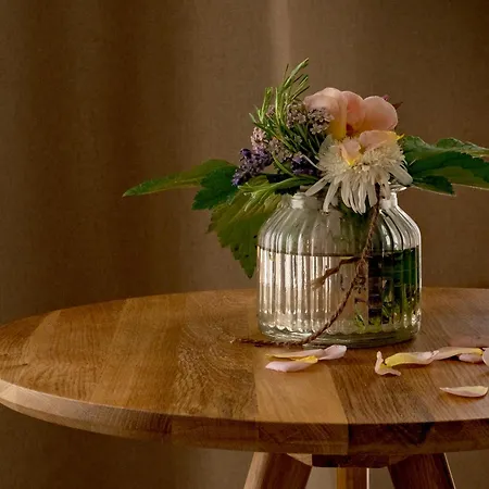 בית נופש ,, Fuchs 