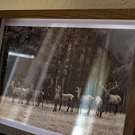 בית נופש ,, Fuchs 