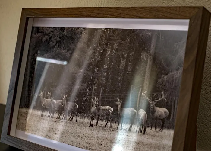 Holiday home ,, Fuchs 